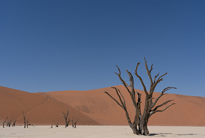 Dead Vlei in Namibia